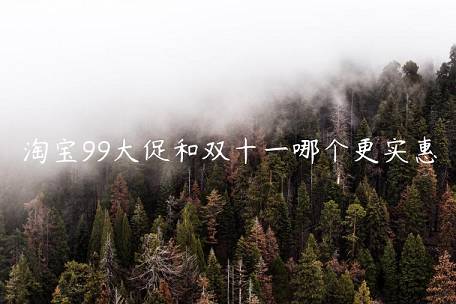 淘寶99大促和雙十一哪個(gè)更實(shí)惠